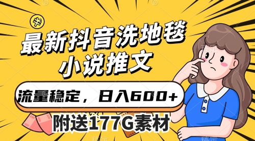 【副业项目7638期】最新抖音洗地毯小说推文，流量稳定，一天收入600（附177G素材）-行行副业