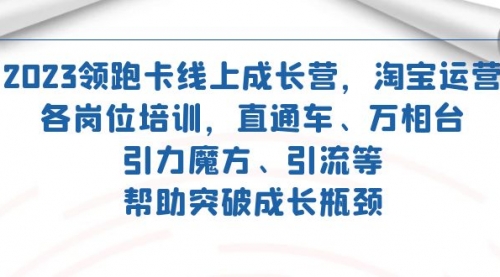 【副业项目7677期】2023领跑·卡 线上成长营 淘宝运营各岗位培训 直通车 万相台 引力魔方 引流-行行副业