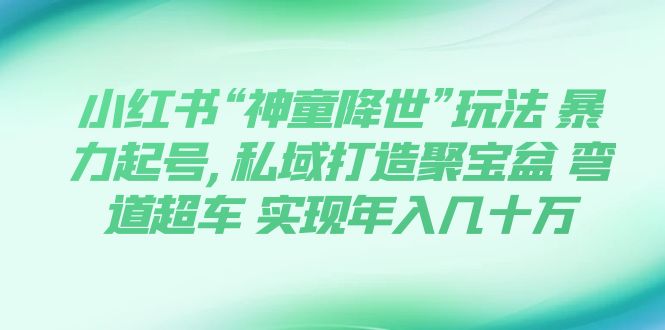 【副业项目7983期】小红书“神童降世”玩法 暴力起号,私域打造聚宝盆-行行副业