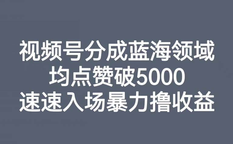 【副业项目8023期】视频号分成蓝海领域，均点赞破5000，速速入场暴力撸收益-行行副业