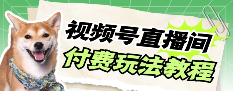 【副业项目7973期】视频号美女付费无人直播，轻松日入500+-行行副业
