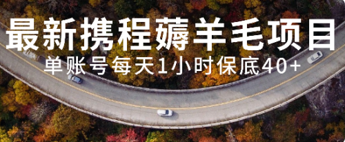 【副业项目8232期】最新携程薅羊毛项目，单账号每天1小时保底收益40+，可矩阵操作-行行副业