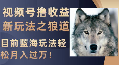 【副业项目8271期】视频号撸收益新玩法之狼道，目前蓝海玩法轻松月入过万！-行行副业
