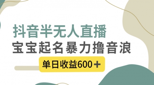 【副业项目8385期】抖音半无人直播，宝宝起名，暴力撸音浪，单日收益600+-行行副业