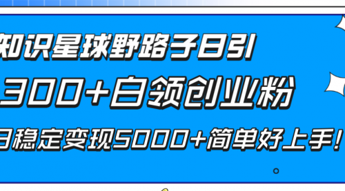 【副业项目8492期】知识星球野路子日引300+白领创业粉-行行副业