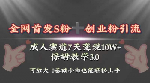 【副业项目8506期】成人用品赛道7天变现10w+保姆教学3.0-行行副业