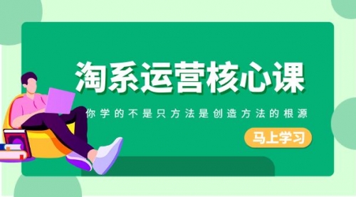 【副业项目8556期】淘系-运营核心课，你学的不是只方法是创造方法的根源-行行副业