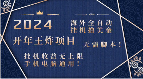 【副业项目8620期】2024海外撸美金项目！手机电脑均可-行行副业