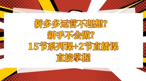 【副业项目8633期】拼多多运营不理想？新手不会做？15节系列课+2节直播课-行行副业
