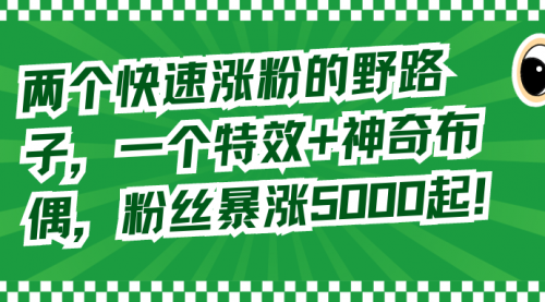 【副业8723期】两个快速涨粉的野路子，一个特效+神奇布偶，粉丝暴涨5000起！-行行副业
