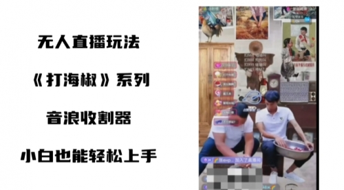 【副业8766期】打海椒无人直播整蛊项目，小白轻松上手撸音浪收割器（教程+工具+素材）-行行副业