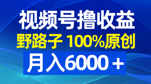 【副业8771期】视频号野路子撸收益，100%原创，条条爆款，月入6000＋-行行副业