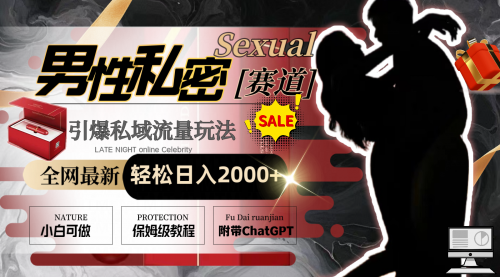 【副业8789期】全网最新男性私密赛道玩法，引爆私域流量，轻松日入2000+-行行副业