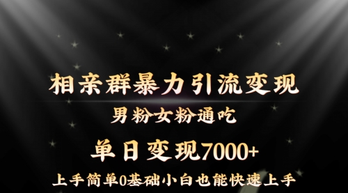 【副业8845期】相亲群暴力引流男粉女粉通吃变现玩法，单日变现7000+保姆教学1.0-行行副业