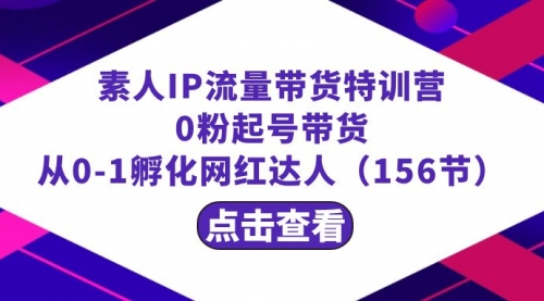 【副业8847期】繁星·计划素人IP流量带货特训营：0粉起号带货 从0-1孵化网红达人（156节）-行行副业