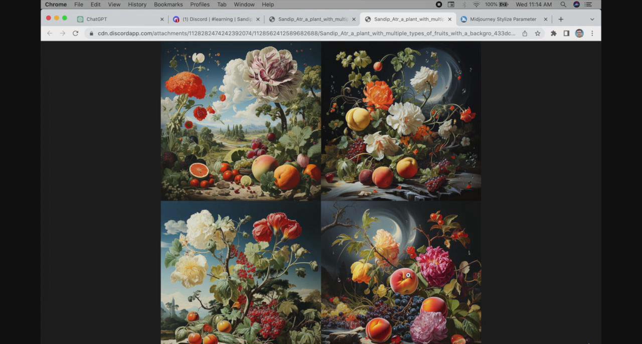 【副业8871期】ChatGPT4 和 MidJourney AI 绘画聊天革命性指南教程-33节视频课-中英字幕-行行副业