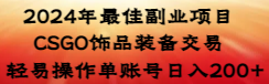 【副业8982期】2024年最佳副业项目 CSGO饰品装备交易 轻易操作单账号日入200+-行行副业