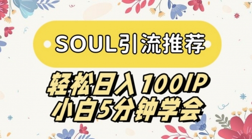 【副业9006期】SOUL引流推荐 轻松日入100IP 小白5分钟学会-行行副业