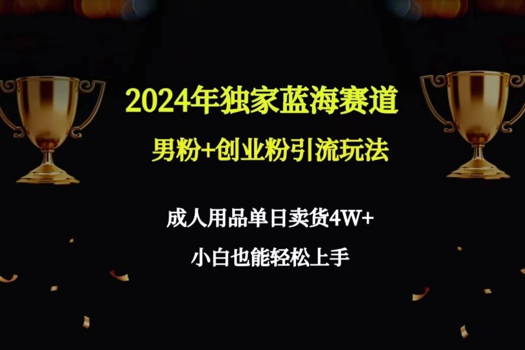 2024年独家蓝海赛道男粉+创业粉引流玩法，成人用品单日卖货4W+保姆教程-行行副业