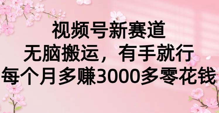 视频号新赛道，无脑搬运，有手就行，每个月多赚3000多零花钱-行行副业