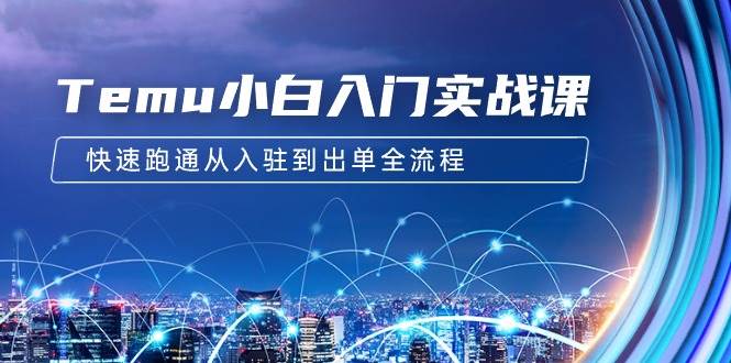 Temu小白入门实战课：跨境拼多多电商培训 快速跑通从入驻到出单全流程-12节-行行副业
