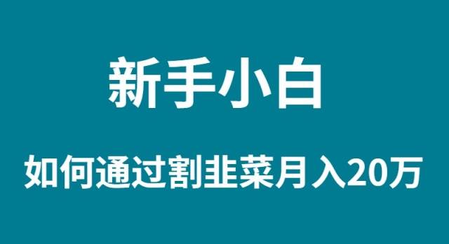 新手小白如何通过割韭菜月入 20W-行行副业