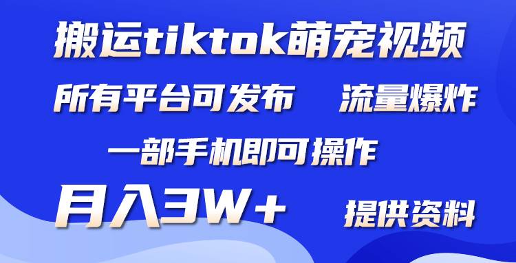 搬运Tiktok萌宠类视频，一部手机即可。所有短视频平台均可操作，月入3W+-行行副业