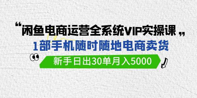 闲鱼电商运营全系统VIP实战课，1部手机随时随地卖货，新手日出30单月入5000-行行副业