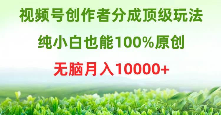 视频号创作者分成顶级玩法，纯小白也能100%原创，无脑月入10000+-行行副业