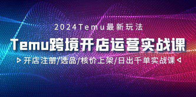 2024Temu跨境开店运营实战课，开店注册/选品/核价上架/日出千单实战课-行行副业