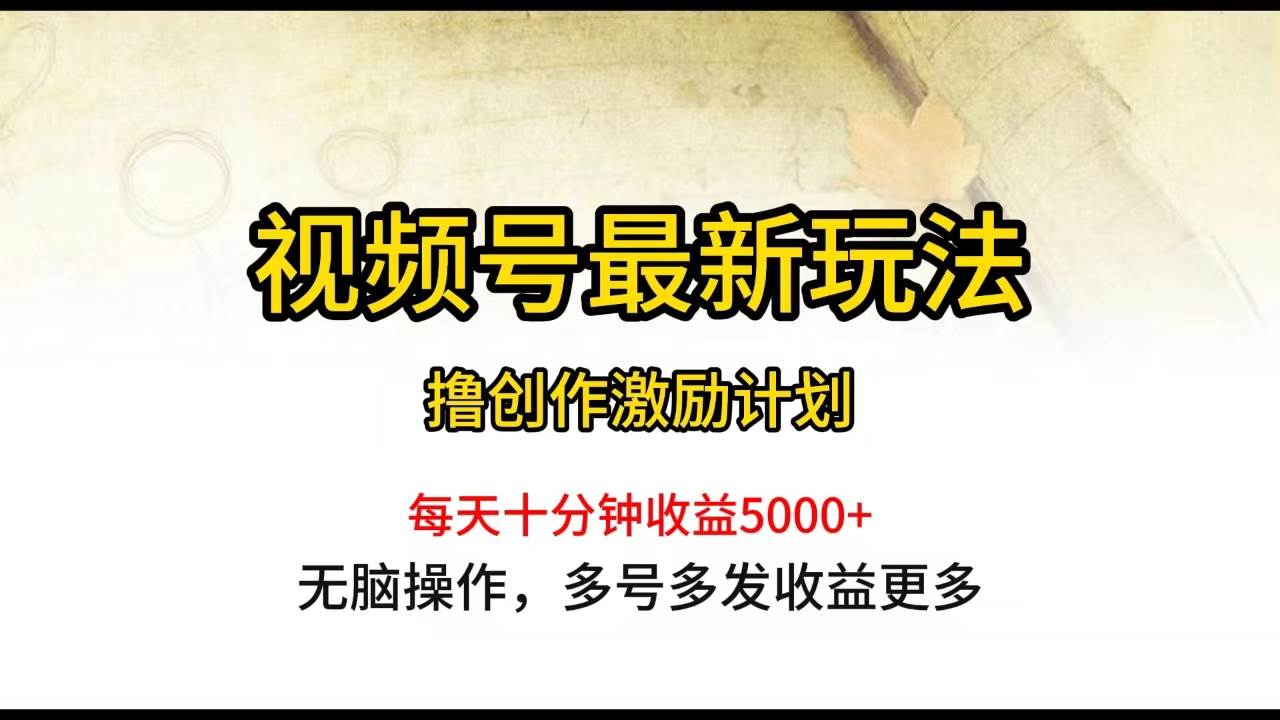 视频号最新玩法，每日一小时月入5000+-行行副业