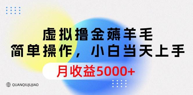 虚拟撸金薅羊毛，简单操作，小白当天上手，月收益5000+-行行副业