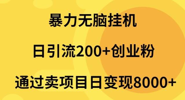 暴力无脑挂机日引流200+创业粉通过卖项目日变现2000+-行行副业