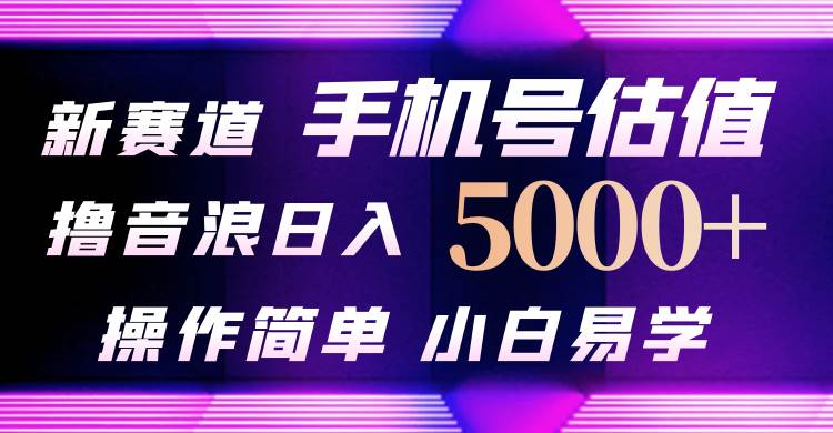 抖音不出境直播【手机号估值】最新撸音浪，日入5000+，简单易学，适合…-行行副业