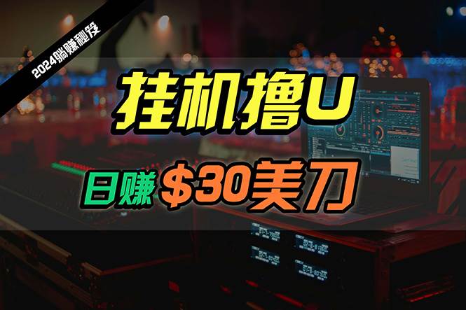 日赚30美刀，2024最新海外挂机撸U内部项目，全程无人值守，可批量放大-行行副业