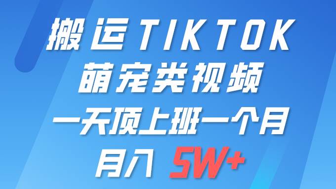 一键搬运TIKTOK萌宠类视频 一部手机即可操作 所有平台均可发布 轻松月入5W+-行行副业