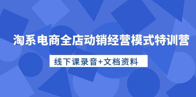 淘系电商全店动销经营模式特训营，线下课录音+文档资料-行行副业