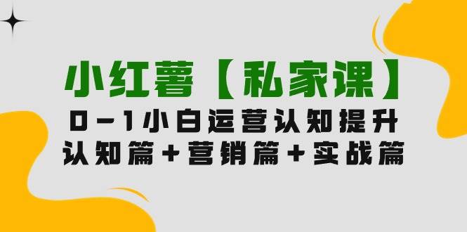 小红薯【私家课】0-1玩赚小红书内容营销，认知篇+营销篇+实战篇（11节课）-行行副业