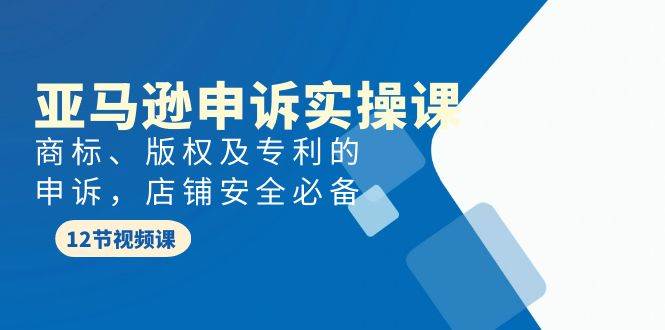 亚马逊-申诉实战课，商标、版权及专利的申诉，店铺安全必备-行行副业