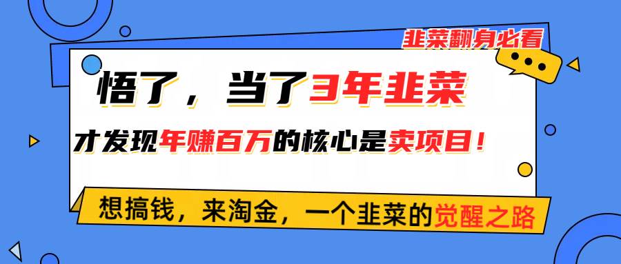 悟了，当了3年韭菜，才发现网赚圈年赚100万的核心是卖项目，含泪分享！-行行副业