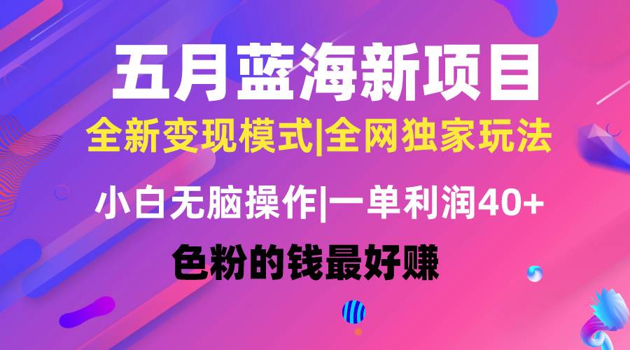 五月蓝海项目全新玩法，小白无脑操作，一天几分钟，矩阵操作，月入4万+-行行副业