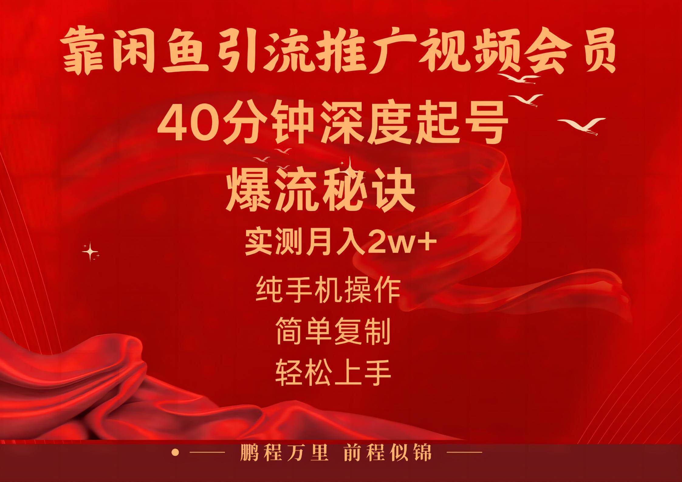 闲鱼暴力引流推广视频会员，能做到日入2W+，操作简单-行行副业