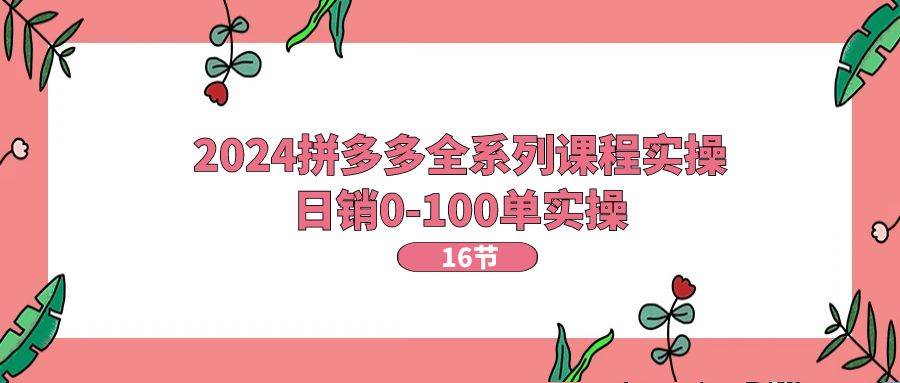 2024拼多多全系列课程实操，日销0-100单实操【16节课】-行行副业
