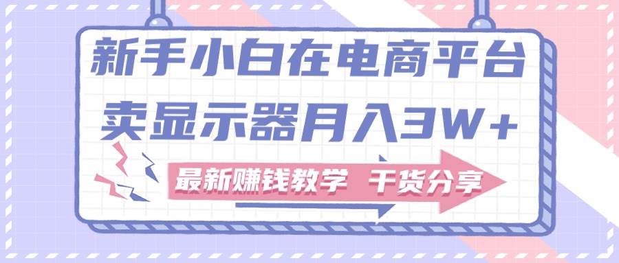 新手小白如何做到在电商平台卖显示器月入3W+，最新赚钱教学干货分享-行行副业
