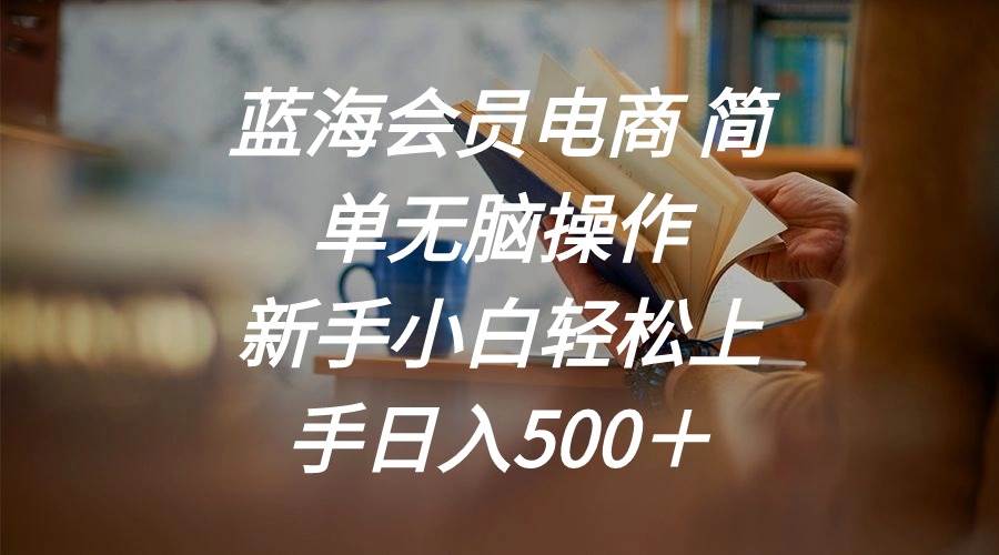 蓝海会员电商 简单无脑操作 新手小白轻松上手日入500＋-行行副业