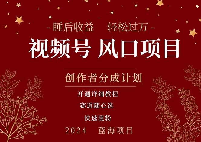 拥有睡眠收益的微信视频号大风口项目，轻松月入过万+，多赛道选择，可…-行行副业