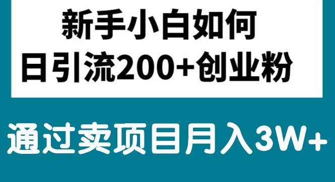 新手小白日引流200+创业粉,通过卖项目月入3W+-行行副业