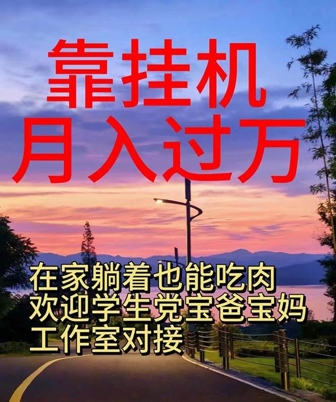 靠挂机，日入1000+，躺着也能吃肉，电脑手机都可挂-行行副业