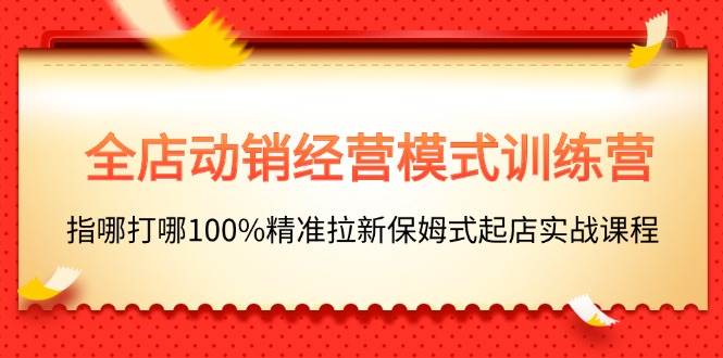 全店动销-经营模式训练营，指哪打哪100%精准拉新保姆式起店实战课程-行行副业