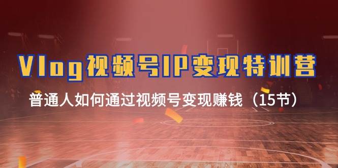 Vlog 视频号IP变现特训营，普通人如何通过视频号变现赚钱（15节）-行行副业